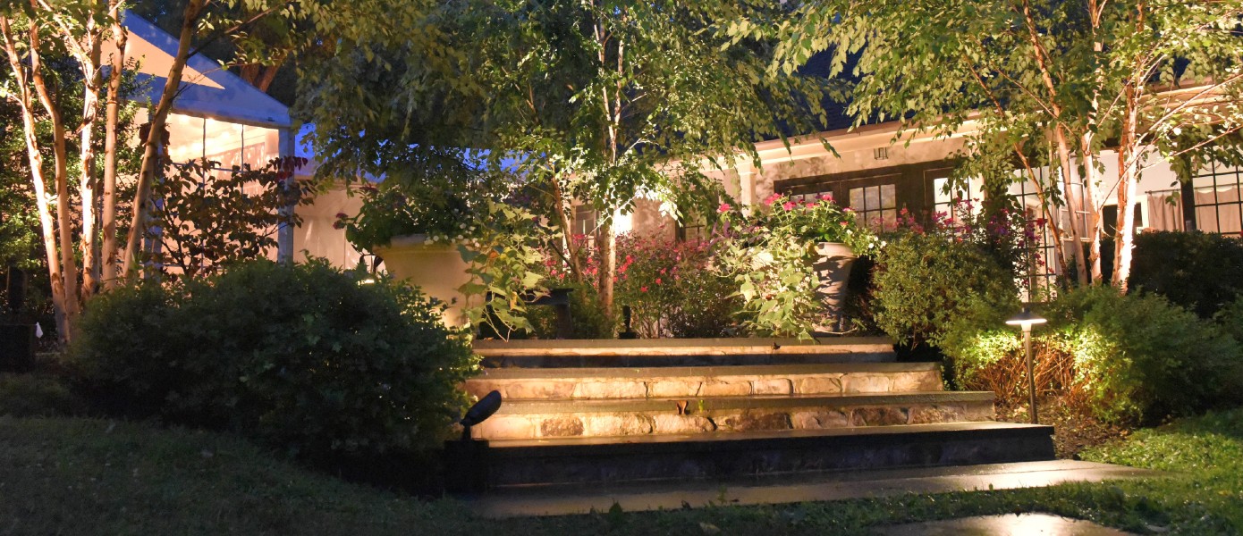 steps on walkway with outdoor lighting and plants