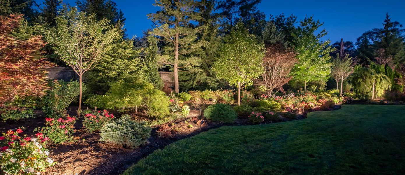 plant landscaping with landscape lighting