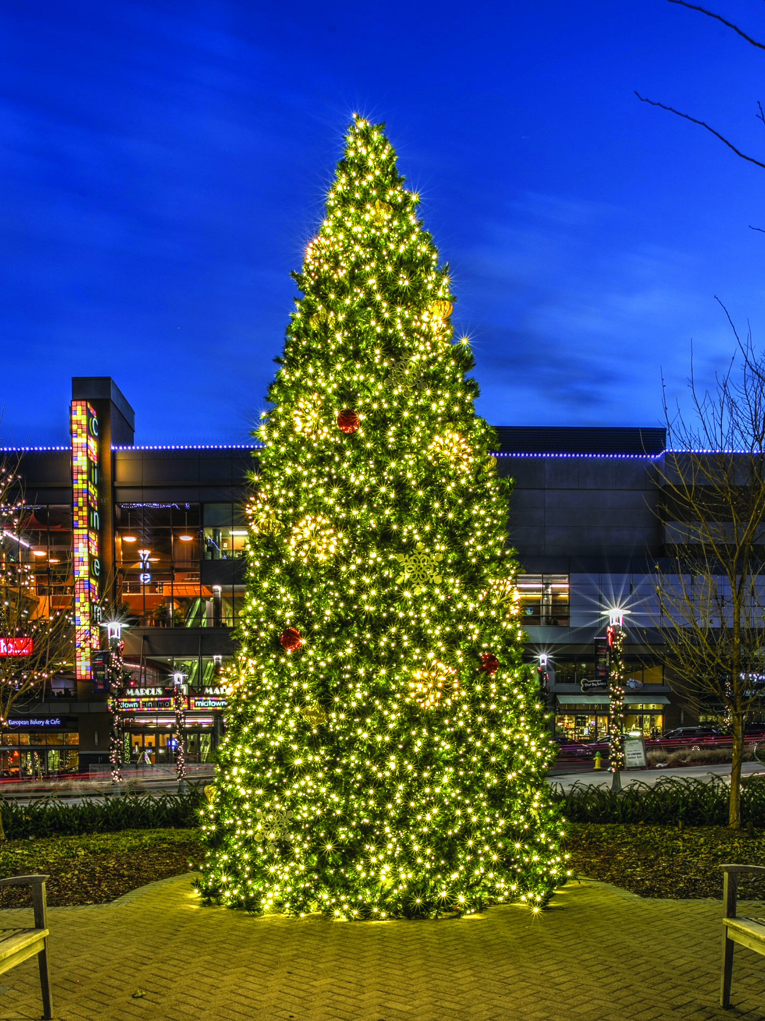 Large commercial Christmas tree decorated with clusters of lights