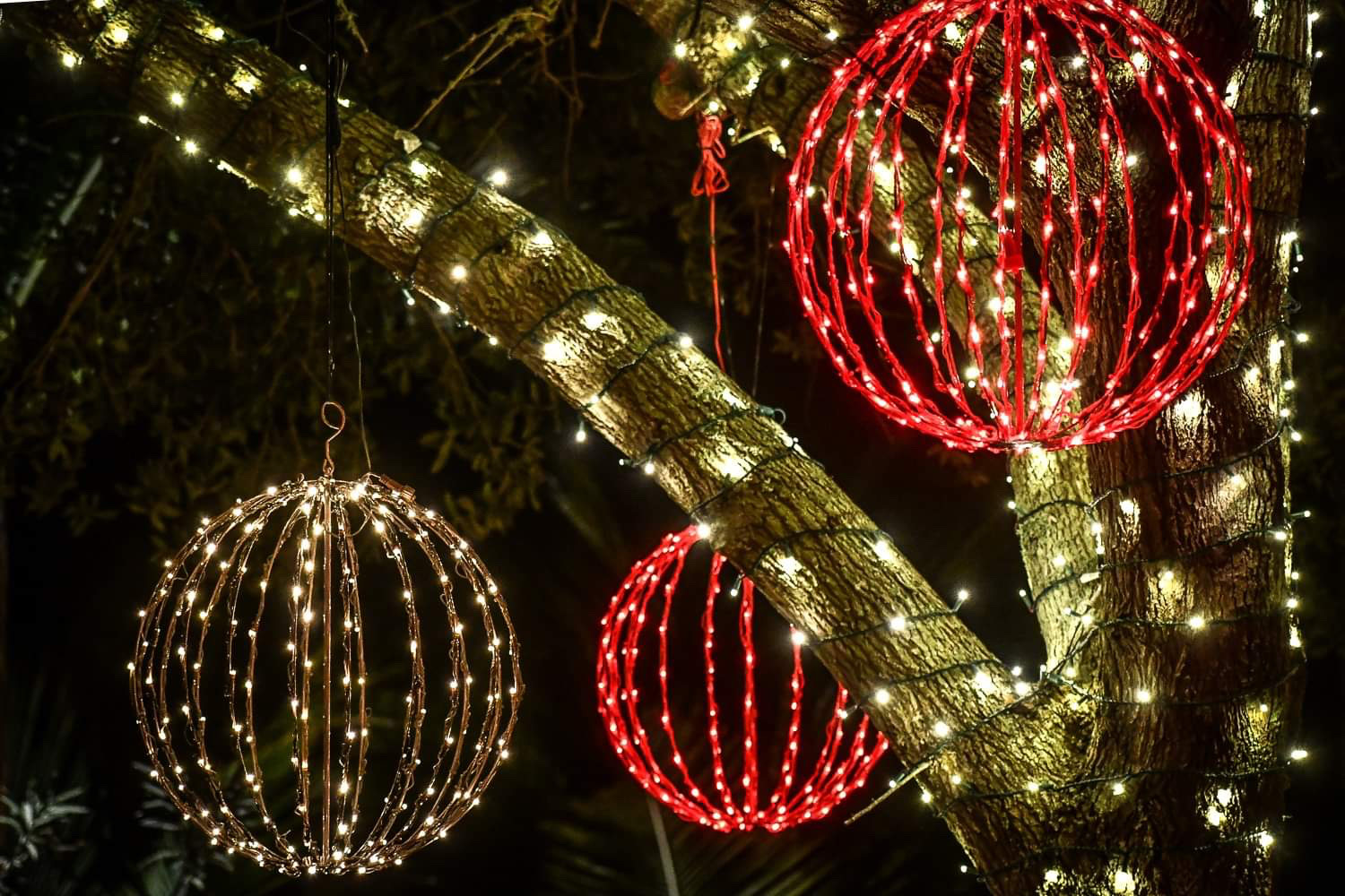 light up glow ornaments in trees