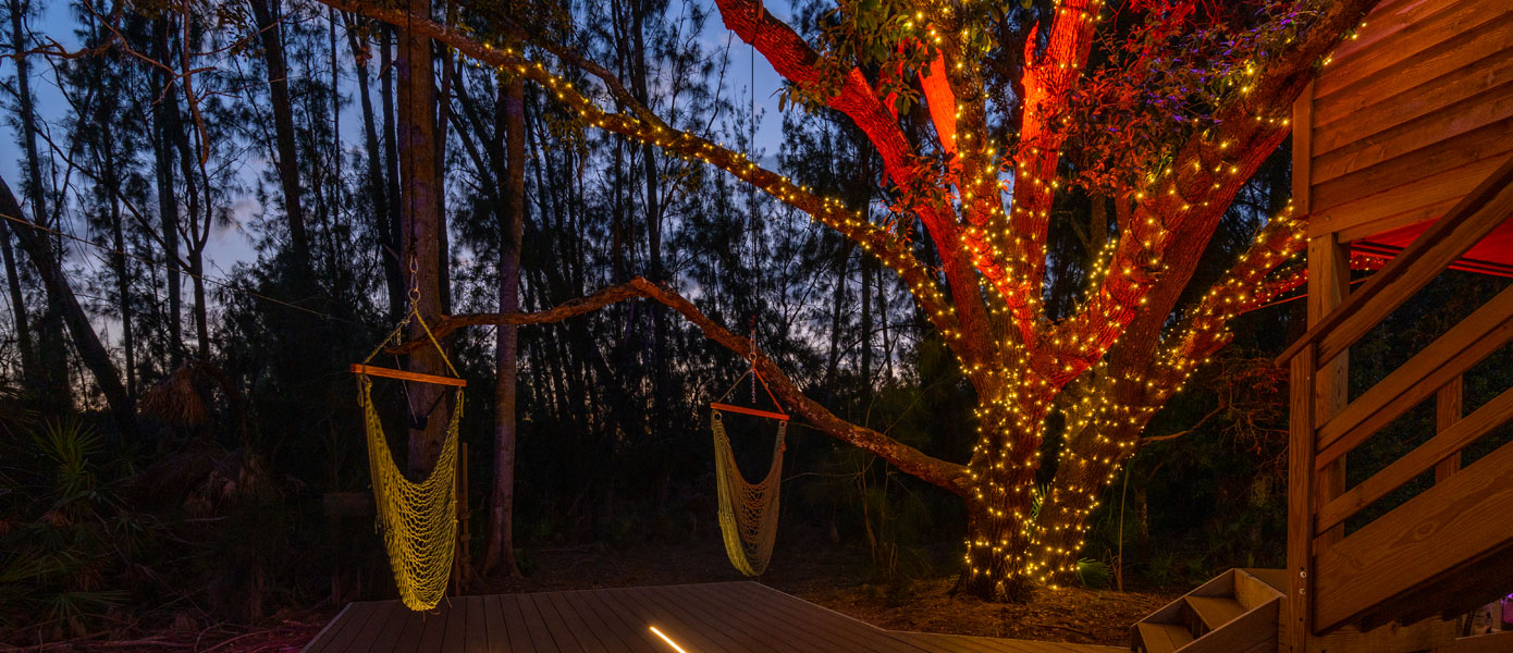 A tree with lights and hammocks

Description automatically generated